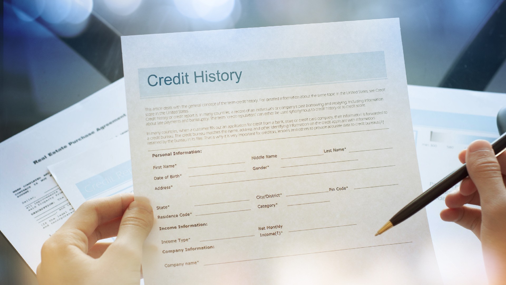A credit history report
