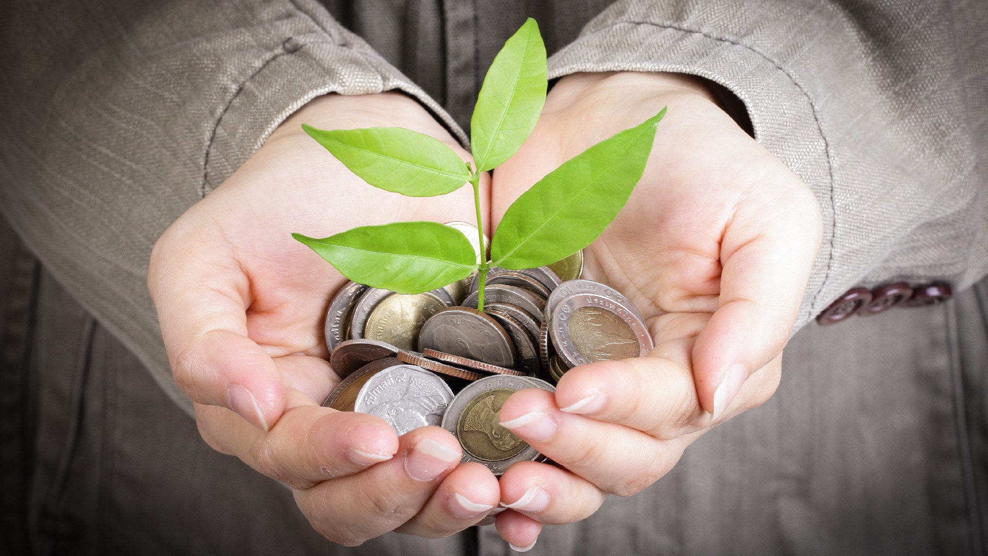 A person holds a pile of coins with leaves growing out of them for Credit Repair Lawyers