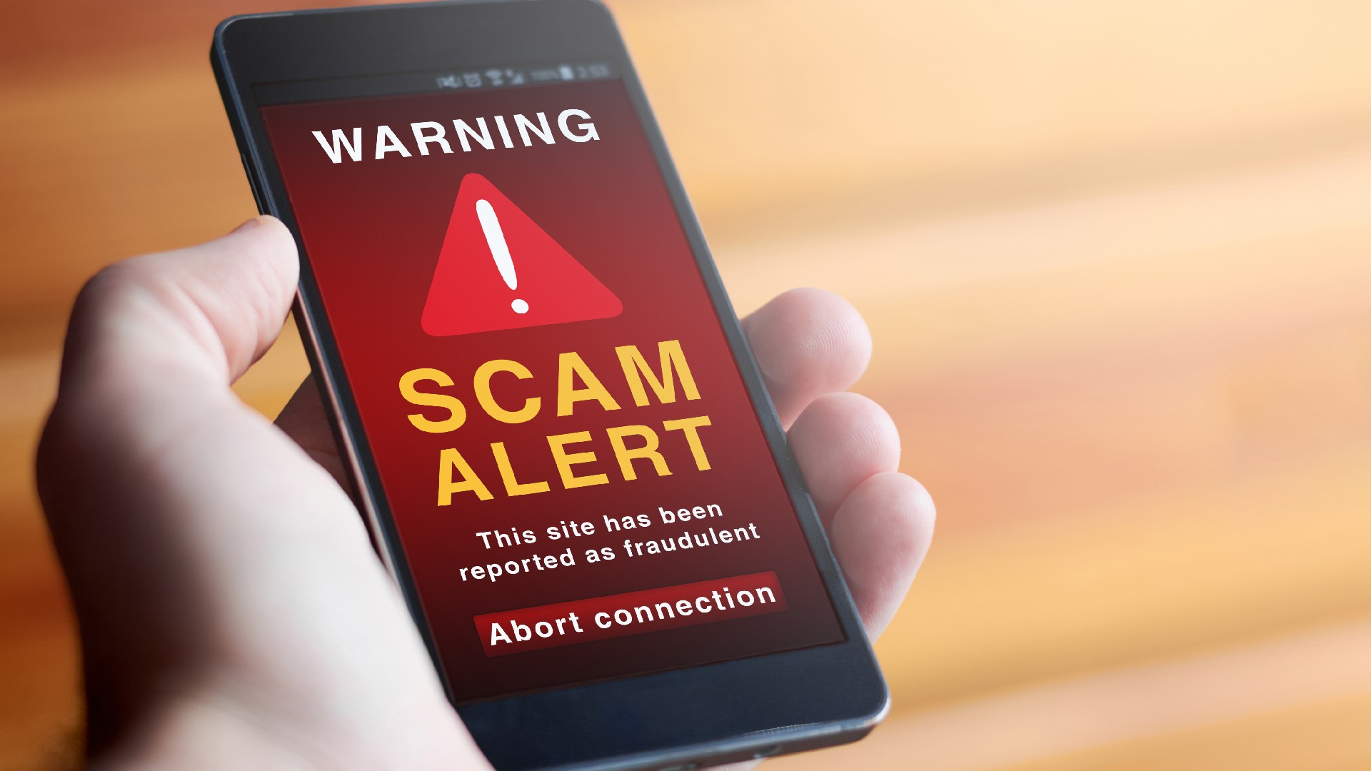 A scam alert displays on a mobile phone